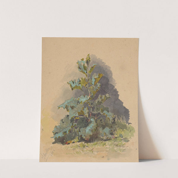 Study of Broadleaved Plant by Friedrich Carl von Scheidlin