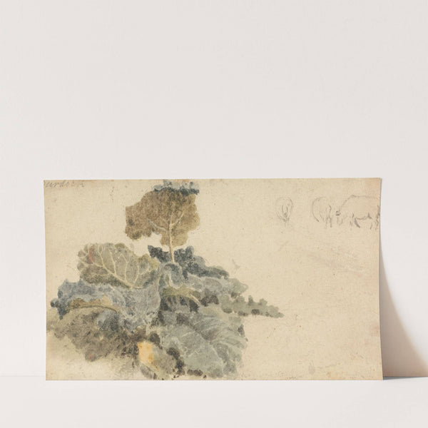 Study of Burdocks by Peter DeWint