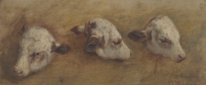 Study of Calfheads (1858)