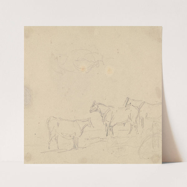 Study of Cattle by Sawrey Gilpin