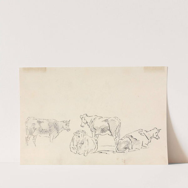 Study of Cattle. by Sawrey Gilpin