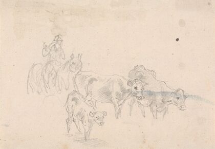 Study of cattle with a calf in foreground