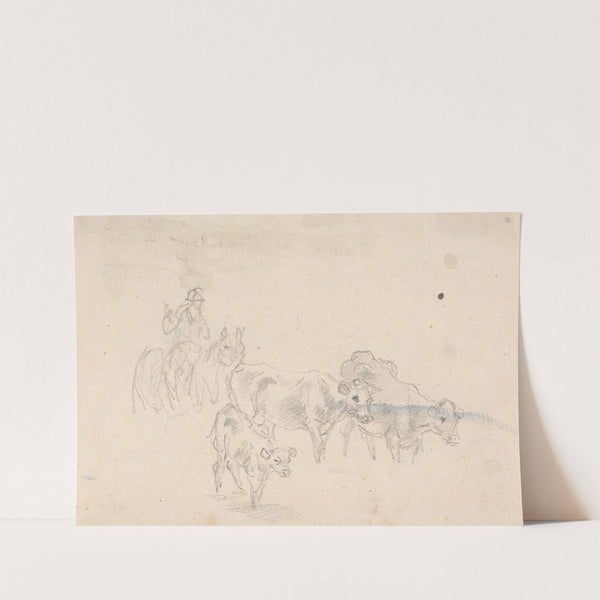 Study of cattle with a calf in foreground by Sawrey Gilpin