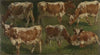 Study of Cows (1884)