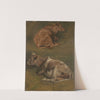 Study of Cows by Anders Askevold