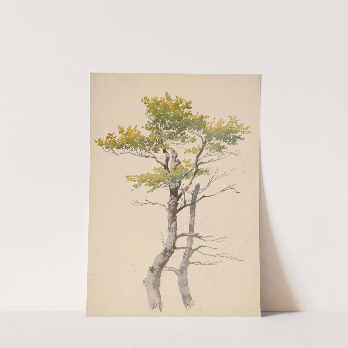 Study of Deciduous Tree by Friedrich Carl von Scheidlin