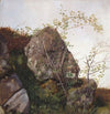 Study of Dog Roses and Ferns (1834)