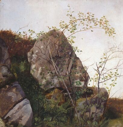 Study of Dog Roses and Ferns (1834)
