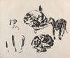 Study of Dogs