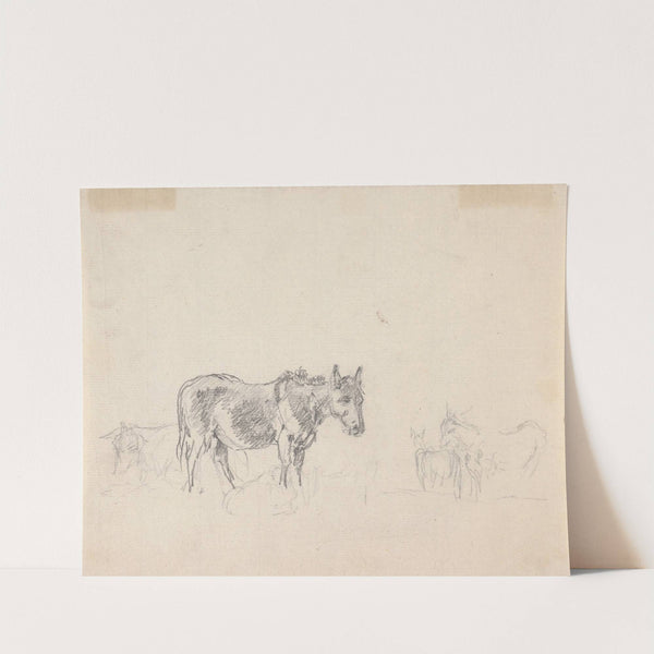 Study of donkeys by Sawrey Gilpin