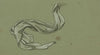 Study of drapery, no. 2