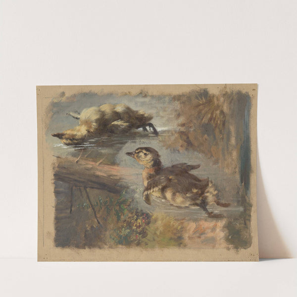 Study of Ducks on the Water I. (1840) by Friedrich Carl von Scheidlin