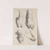 Study of Feet by Peter Paul Rubens