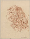 Study of female hair (1890 - 1910)