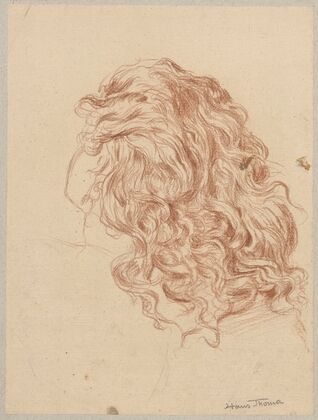 Study of female hair (1890 - 1910)