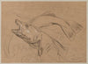 Study of Fish (1879)