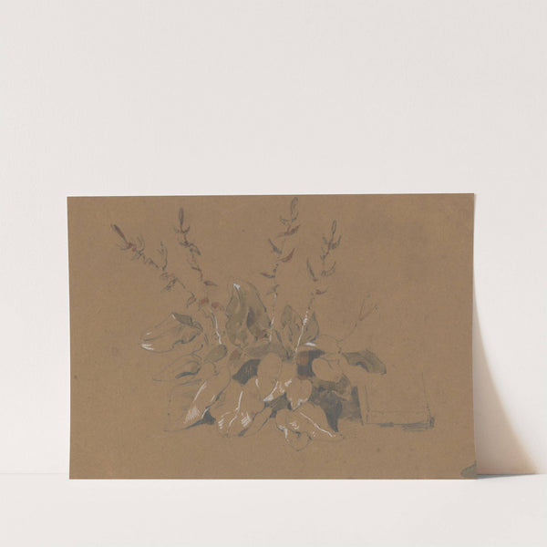 Study of Flowering Plant by Friedrich Carl von Scheidlin