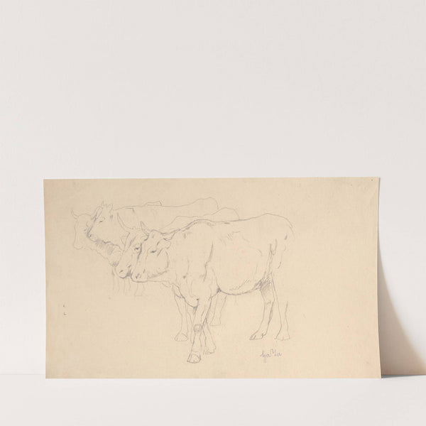 Study of Four Cows Walking (1890 - 1910) by Hans Thoma