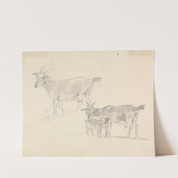 Study of Goats by Sawrey Gilpin