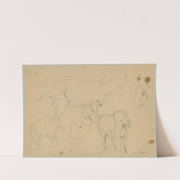 Study of goats (1880 - 1900) by Hans Thoma