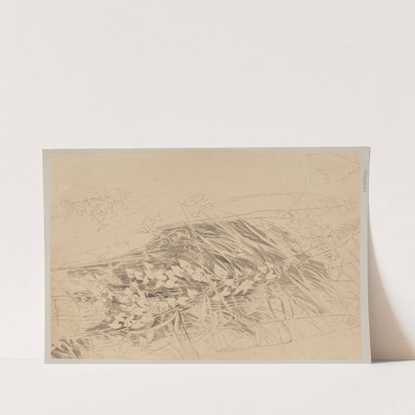 Study of Grass and Convolvulus (1870) by Hans Thoma