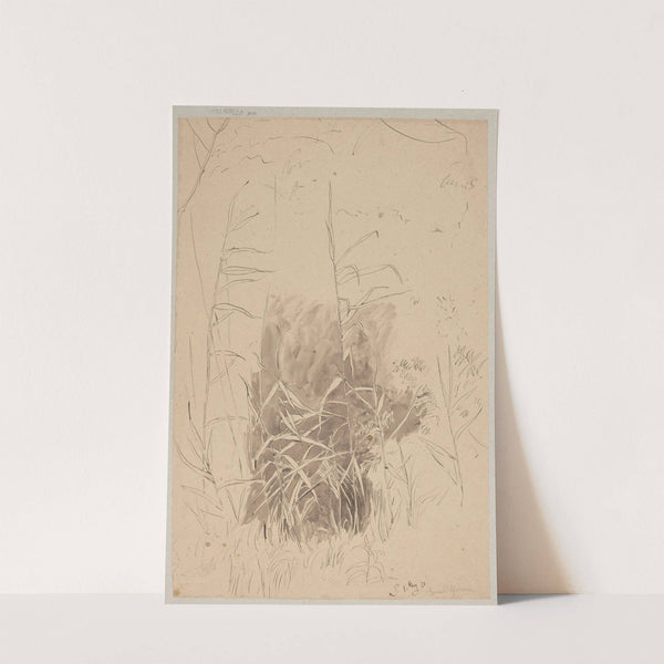 Study of Grass (1870) by Hans Thoma