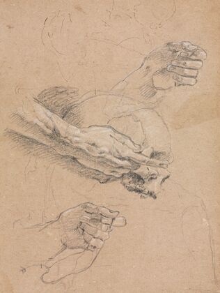 Study of hands and skull