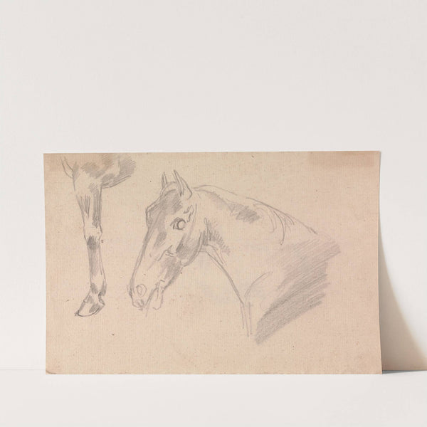 Study of head and neck of a horse by Sawrey Gilpin