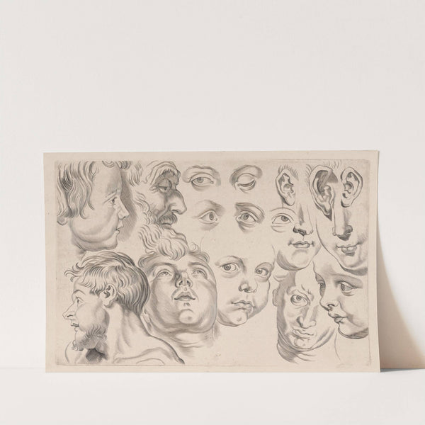Study of Heads by Peter Paul Rubens