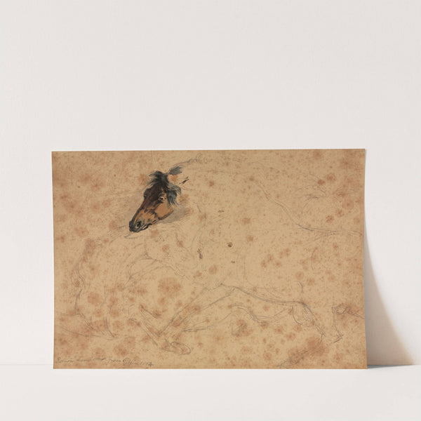 Study of Horses (1854) by Edwin Henry Landseer