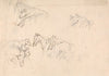 Study of Horses Carrying Calves on their Backs