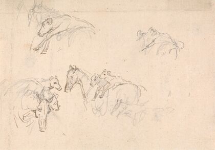 Study of Horses Carrying Calves on their Backs