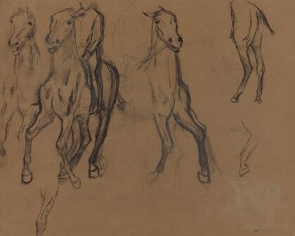 Study of Horses
