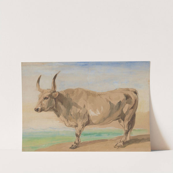 Study of Hungarian breed ox by Piotr Michałowski