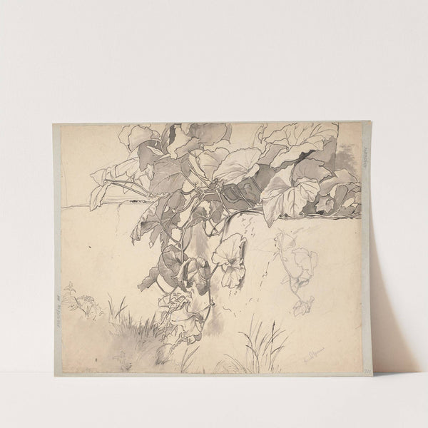 Study of Ivy (1870) by Hans Thoma