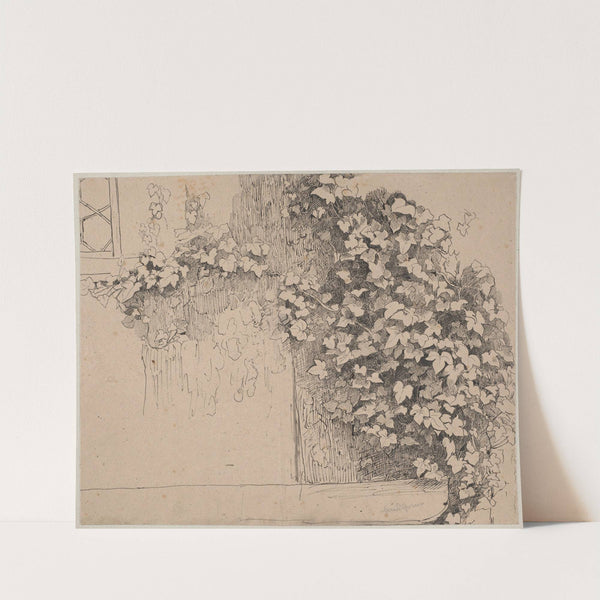Study of Ivy Climbing Up the Wall (1920) by Hans Thoma