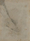 Study of Lower Leg and Right Foot