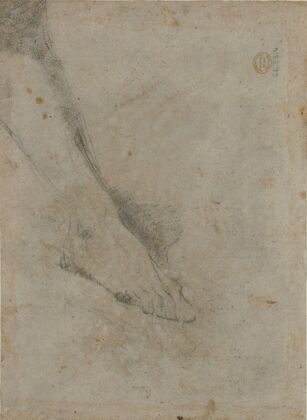 Study of Lower Leg and Right Foot