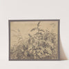 Study of meadow plants by Jan Krzysztof Damel