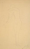 Study of nude (standing, combing her hair)