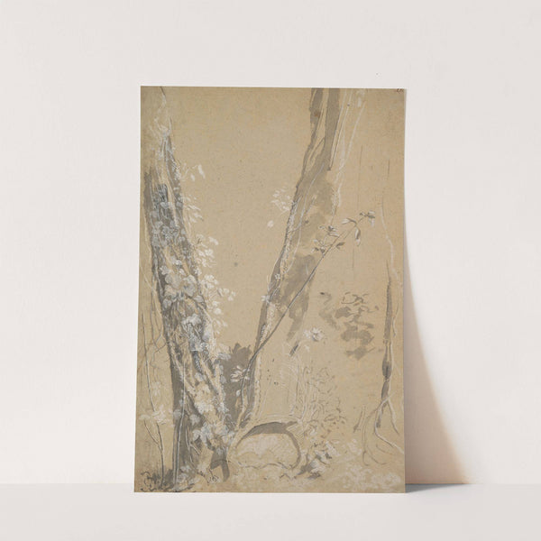 Study of Overgrown Trees by Joseph Werner the Younger