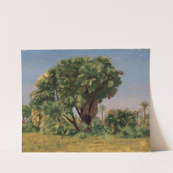 Study of Palm Trees (probably 1868) by Jean-Léon Gérôme