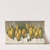 Study of pears (1891) by J. E. Barclay