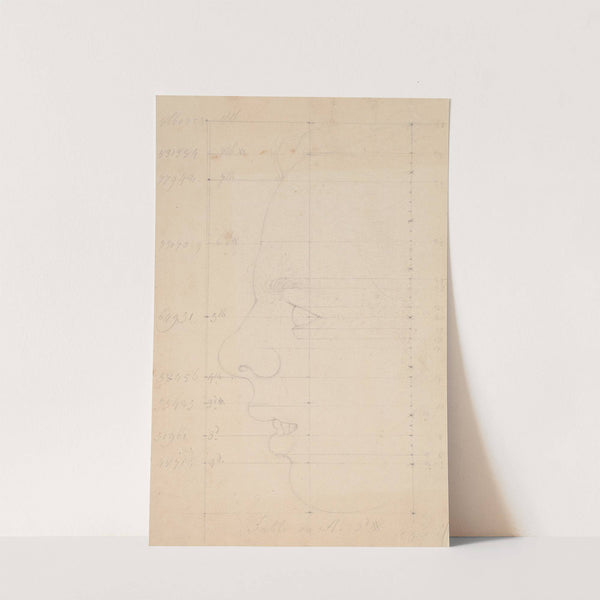 Study of physiognomy of face by Giles Hussey