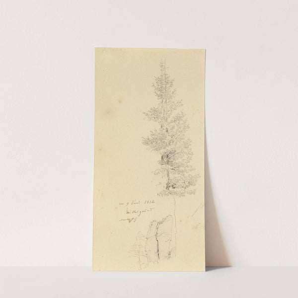 Study of Pine Trees and a Rock by Caspar David Friedrich