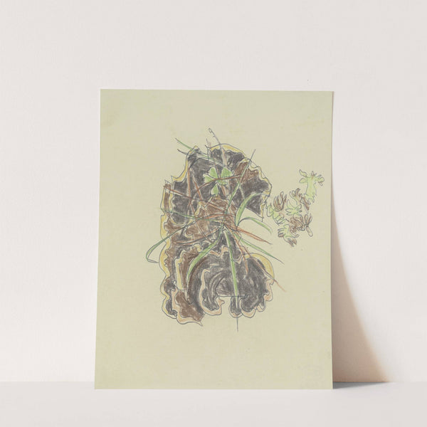 Study of plants by August Babberger