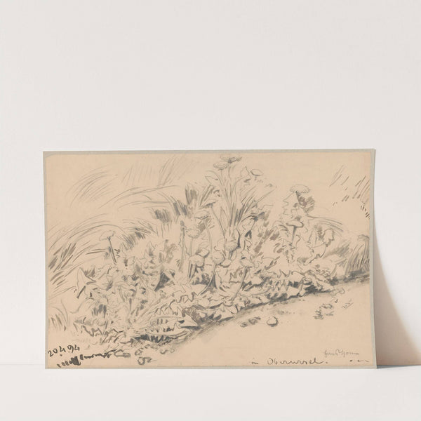 Study of plants (1894) by Hans Thoma
