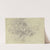 Study of plants by Otto Scholderer