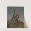 Study of Rocks and Branches by George Augustus Wallis