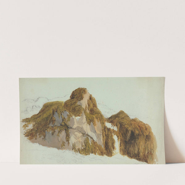 Study of Rocks Covered with Seaweed by Edward Duncan